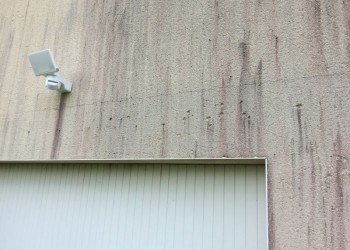 Photo de mur avec apparaissions de tâche et de mousse